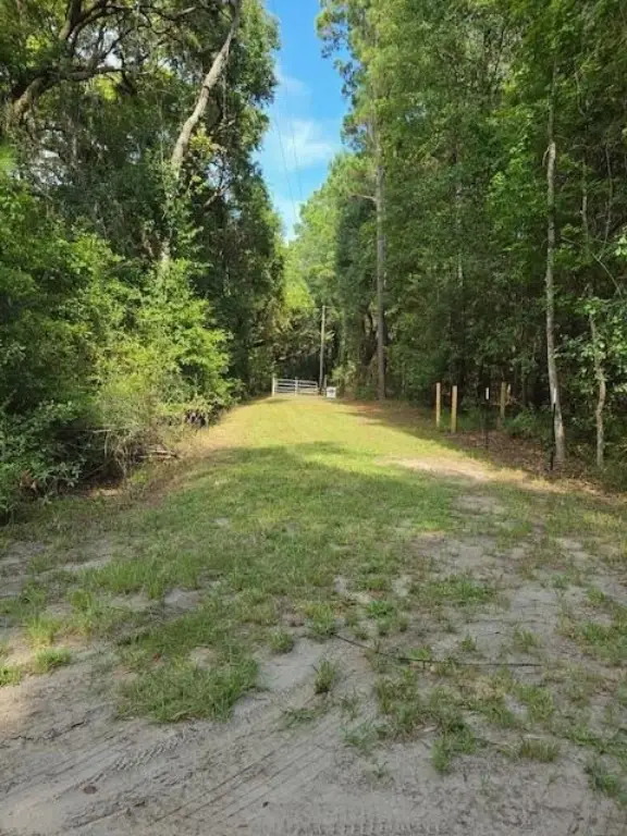 Picture 20