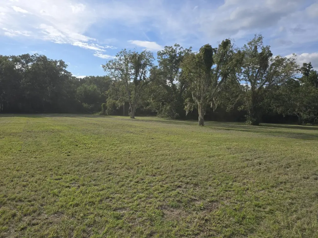 Picture 27