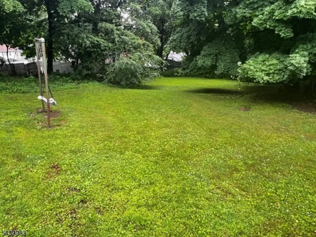 Picture 9