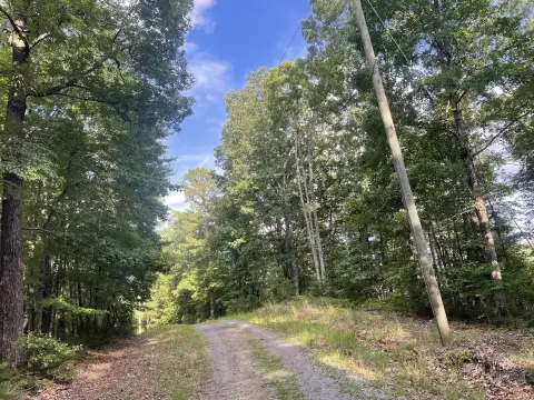 Ranger, GA Secluded Lot