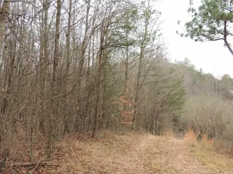 Land Near SC Inland Port