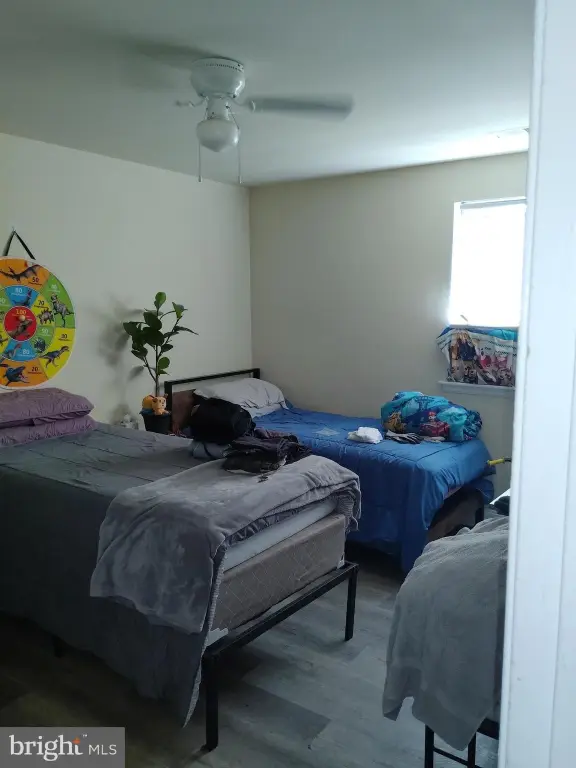 Picture 8