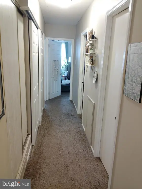 Picture 29