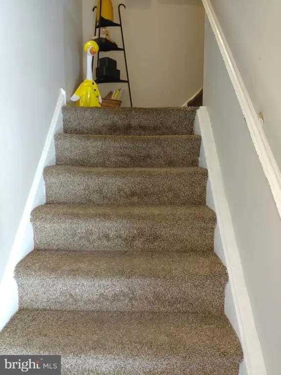 Picture 33