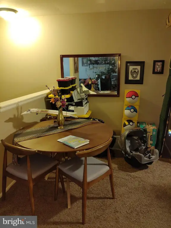 Picture 28