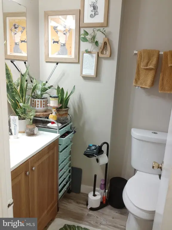 Picture 22