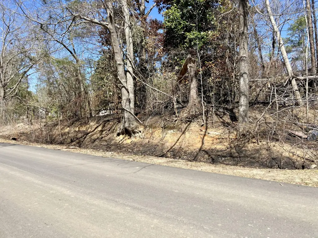 Picture 2