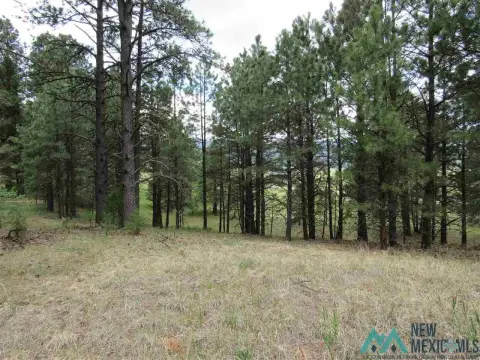 Picture of Land at Chapel Rd & Crk A34 Rd 1, Rociada, NM