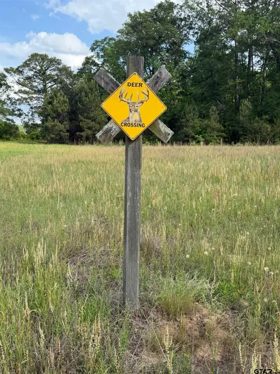 Picture 22