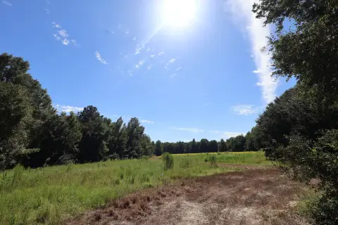 Versatile Land in Manning, SC