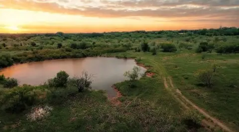 Texas Land with Mature Oak Trees