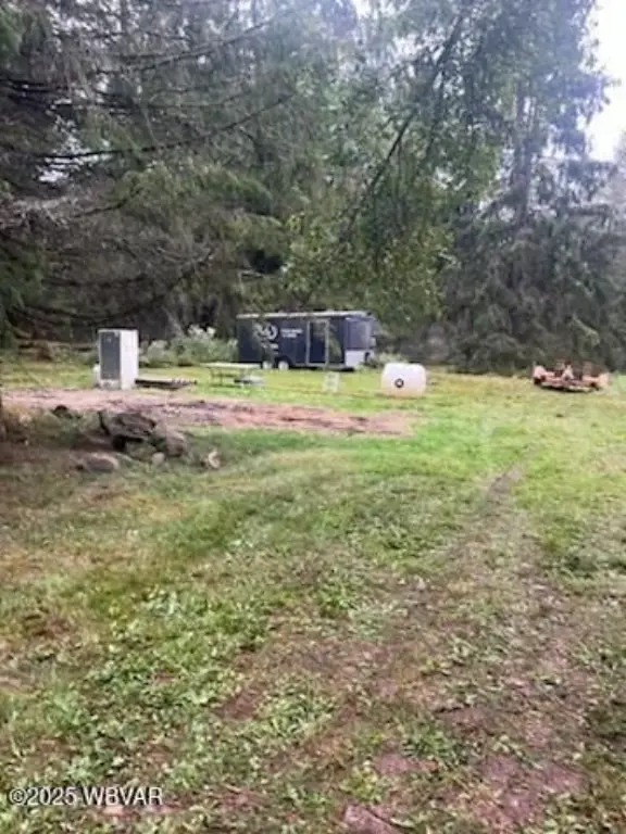 Picture 14
