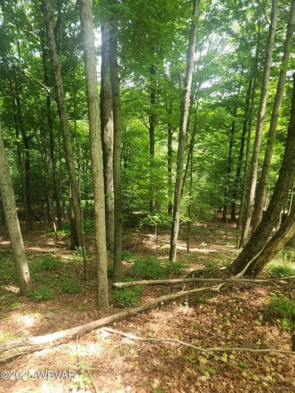 Picture 2