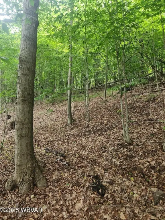 Picture 4