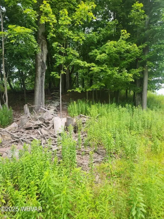 Picture 6