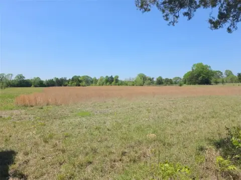 Expansive Land in Simms, Texas