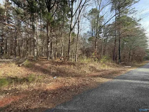 Centre, AL Wooded Lot