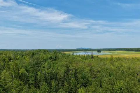 Hunting Land with Road Frontage
