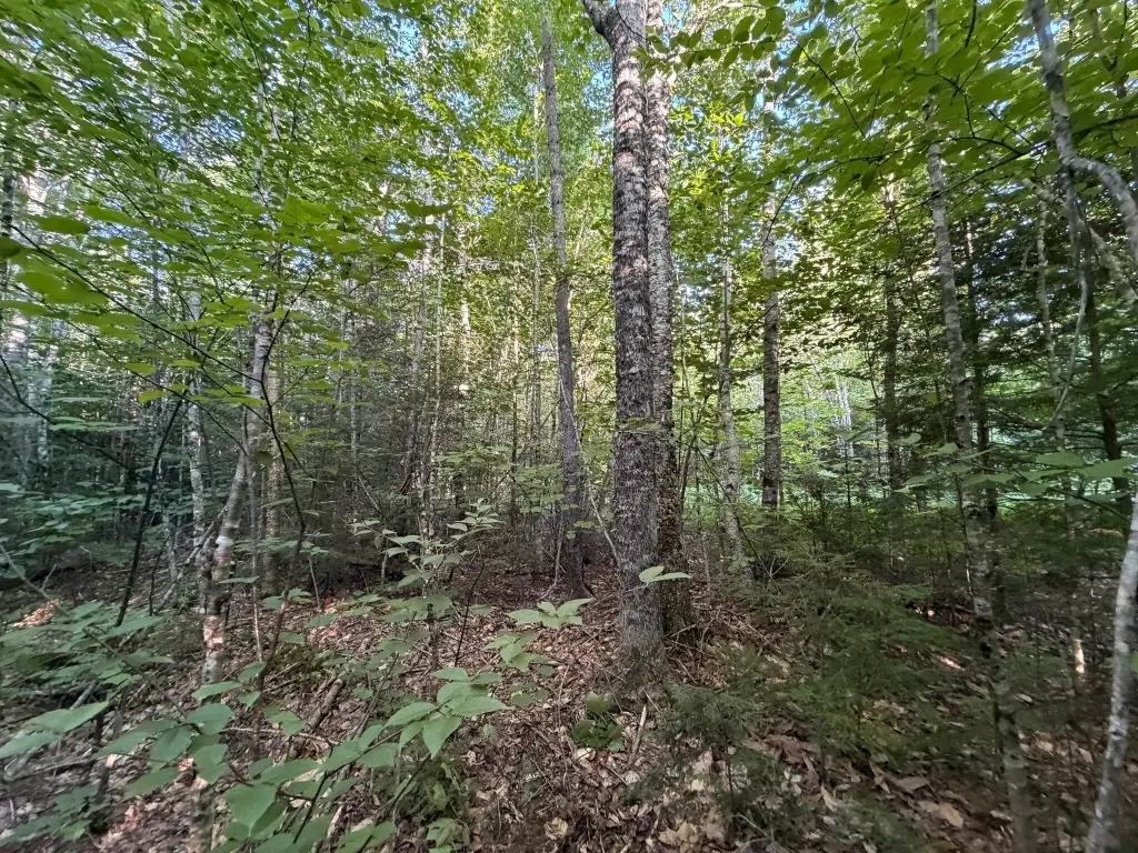 Picture 26