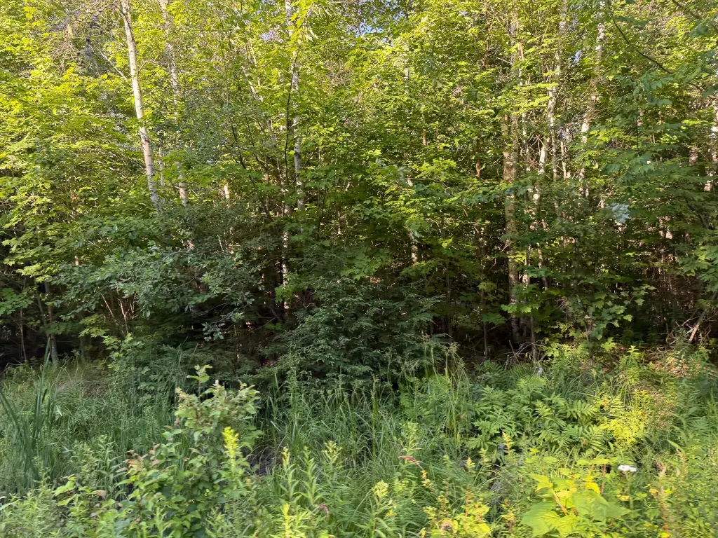 Picture 18