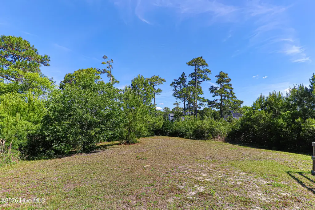 Picture 8