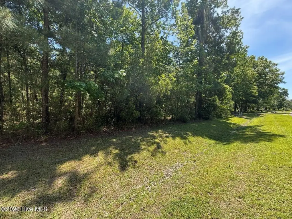 Picture 18