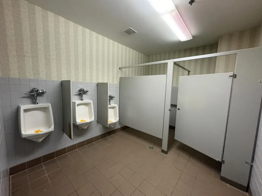Picture 17