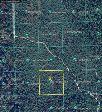 Undeveloped Land in Central Florida