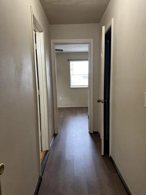 Picture 32