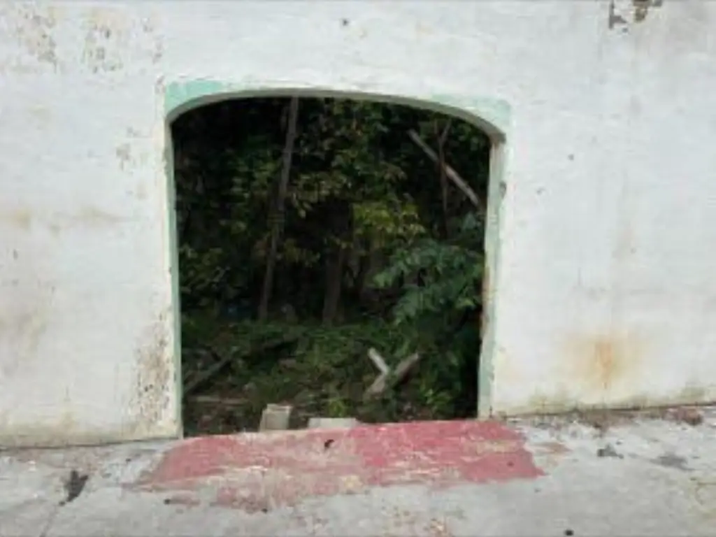 Picture 5