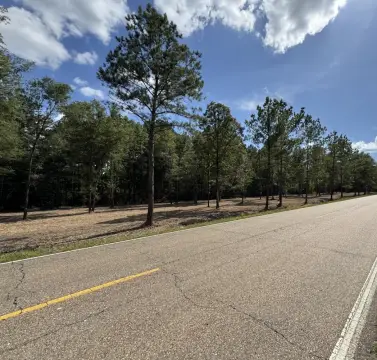 Albany, LA Vacant Land