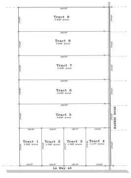 Vacant Land in Albany, LA