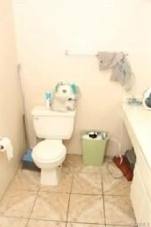 Picture 8