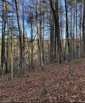 Picture of Land at Toe Riv Ln 2, Newland, NC