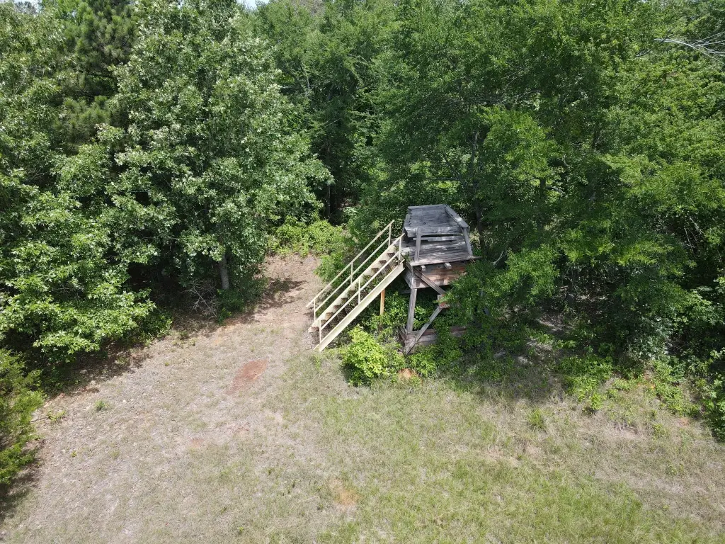 Picture 10