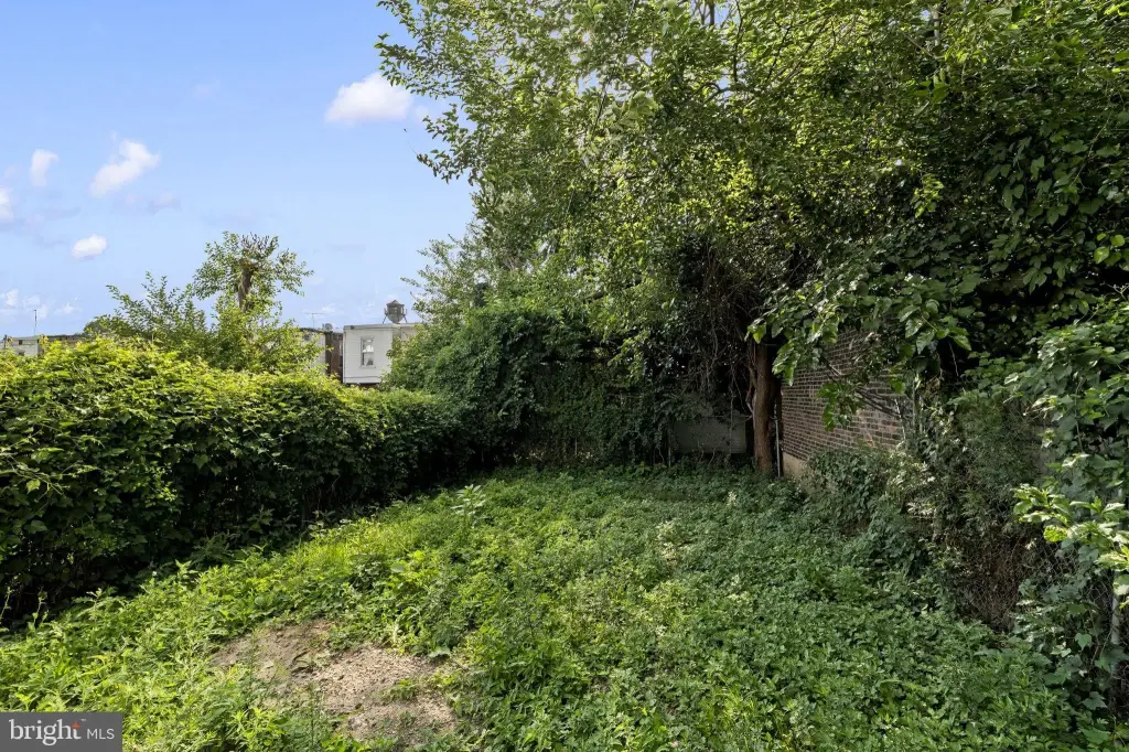 Picture 21