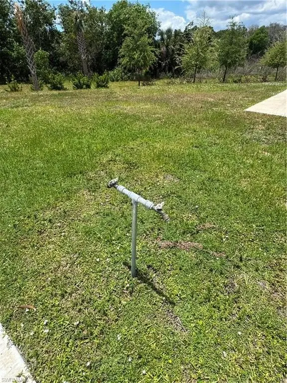 Picture 10