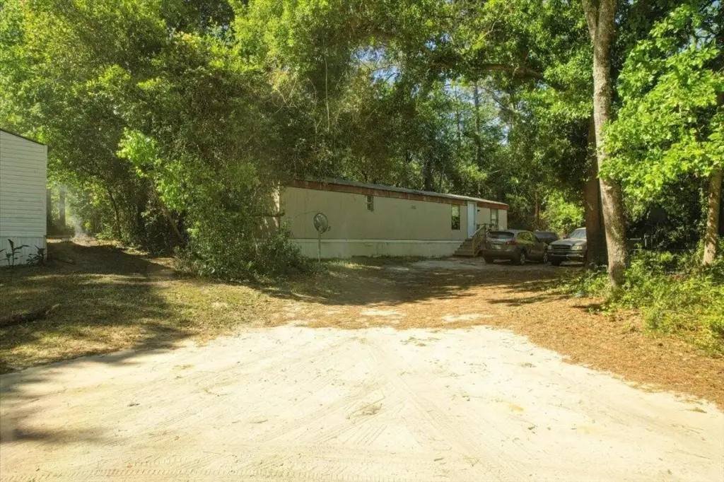 Picture 8