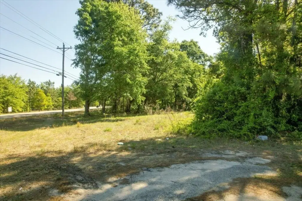 Picture 9