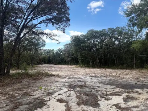 Cleared Acreage in Bronson, Florida