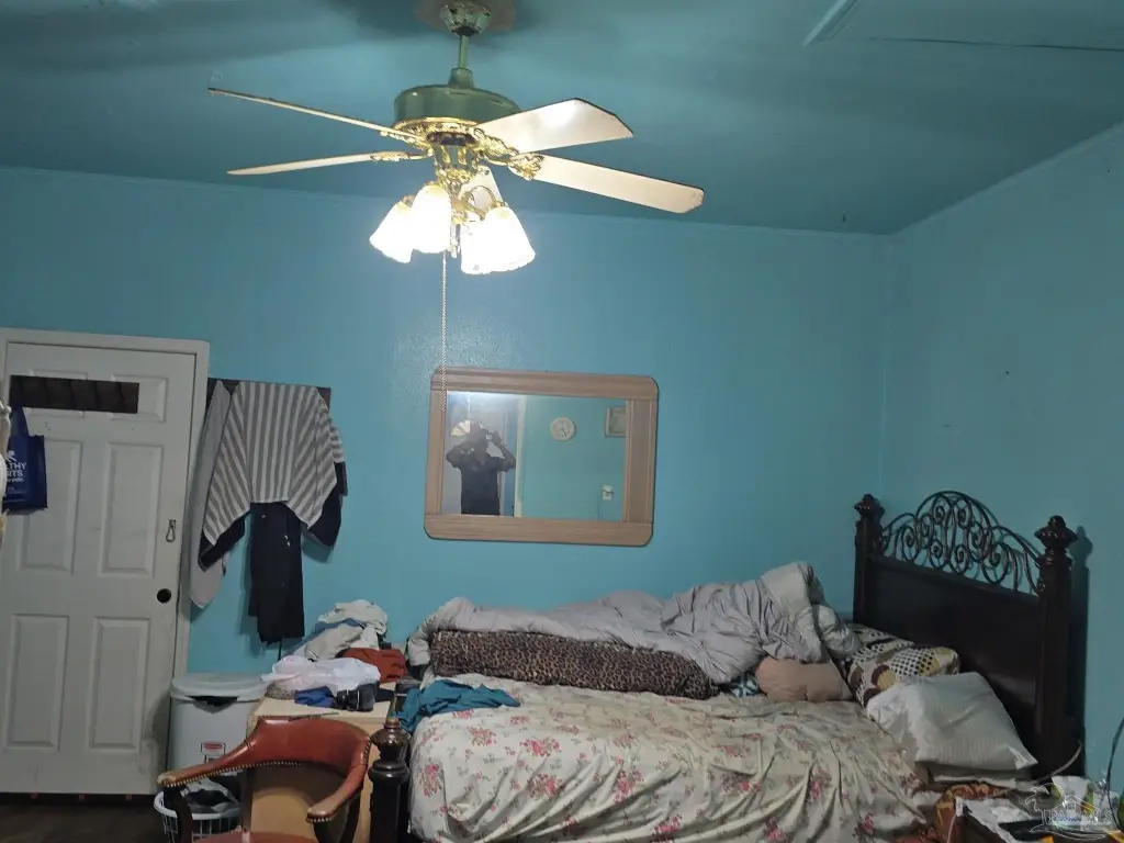 Picture 11