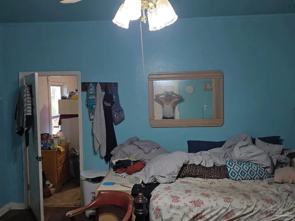 Picture 45