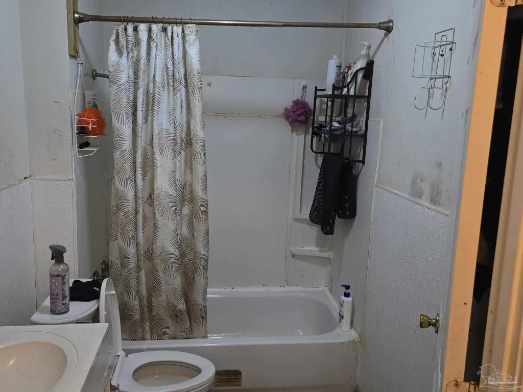 Picture 18