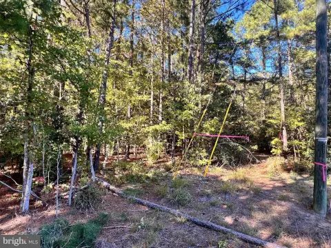 Vacant Lot in Montross, VA