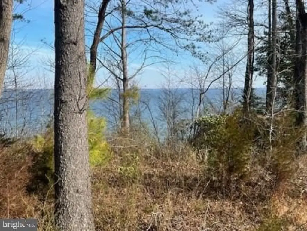 Picture 12