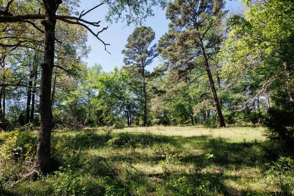 Picture 28