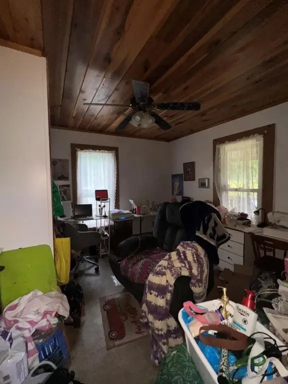Picture 20