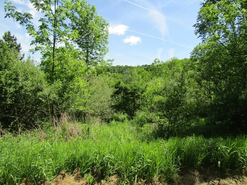 Picture 2