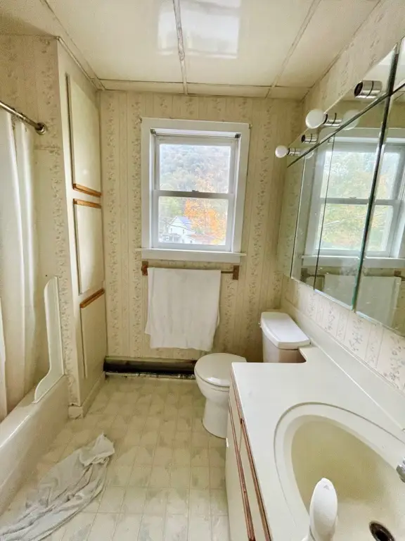 Picture 11