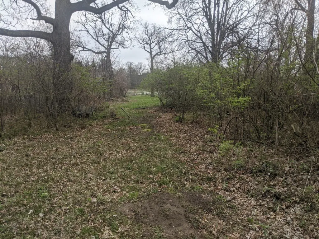 Picture 11